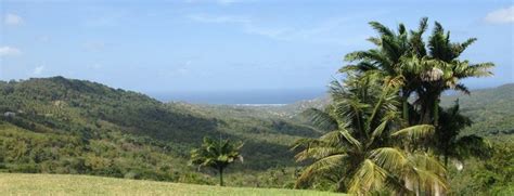 Scenic Lookout Spots In Barbados