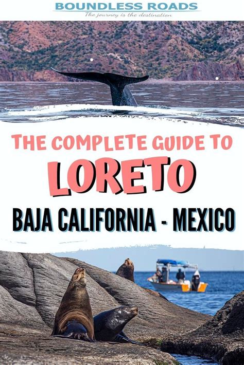 11 Amazing Things To Do In Loreto Mexico In 2021 Mexico Travel