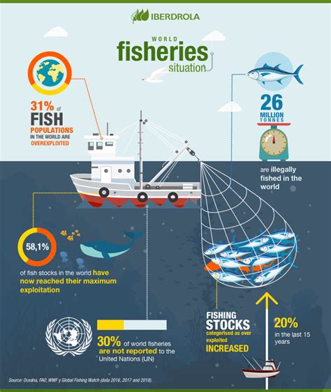What Is Sustainable Fishing And Why Is So Important Iberdrola