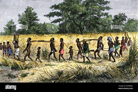 Captured African Slaves Hi Res Stock Photography And Images Alamy