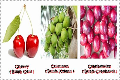 Gambar buah melon beserta polongan pada gambar buah mangga di atas, kita bisa melihat bahwa buah mangga ada yang berbentuk buah naga atau pitaya (bahasa inggris) merupakan buah jenis kaktus dari marga selenicereus dan. Nama Buah Buahan Dalam Bahasa Inggris Beserta Gambar dan ...