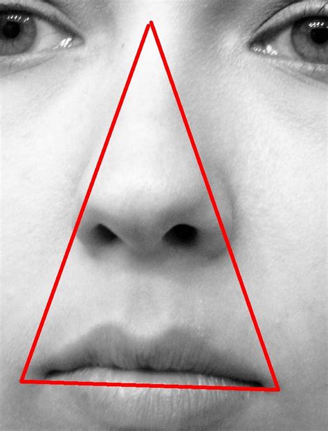 Dangerous area of face comprises of upper lip, lower part of nose and adjacent area. Stuff of Hopes: Face Dangerous Area