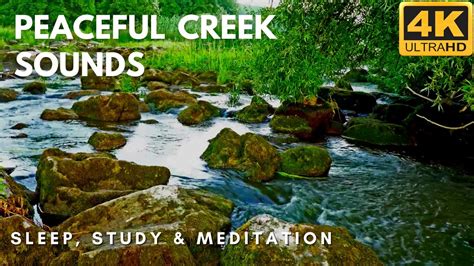 1 Hour Relaxing River Sounds 4k Peaceful Creek Sounds Sleep Study