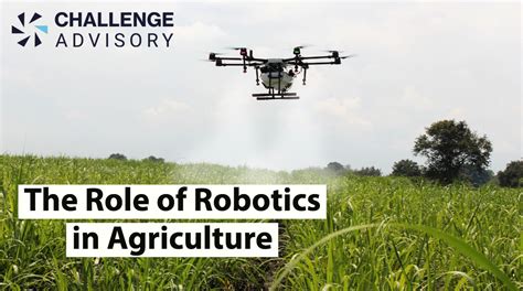 The Role Of Robotics In Agriculture Challenge Advisory