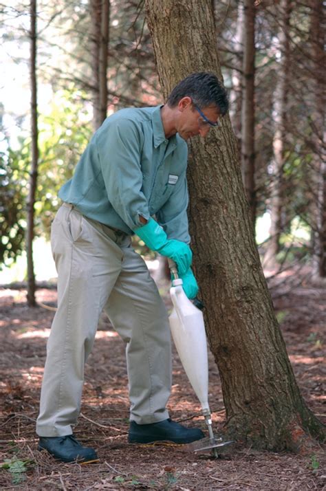 Protecting Trees From Emerald Ash Borer Tomlinson Bomberger