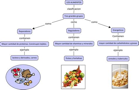 Elabora Un Organizador Visual Sobre La Clasificación De Los Alimentos
