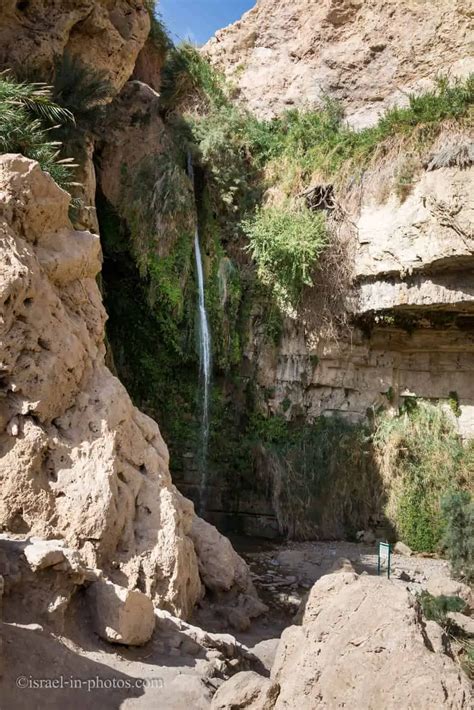 Ein Gedi Nature Reserve Visitors Guide With Tracks