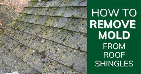 How To Remove Mold From Roof Shingles Roof Repair Specialist
