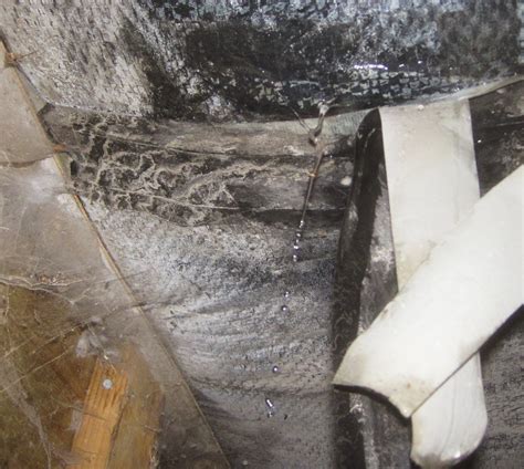 Therefore a shower pan test is recommend to be performed. DIY- Know your limits