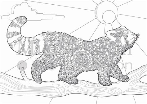 Red Panda Coloring Page Coloring Home
