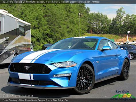 2019 Ford Mustang Gt Premium Fastback In Velocity Blue Photo No