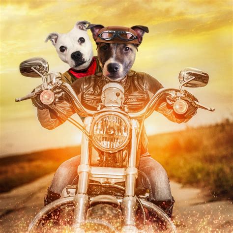 The Female Furry Bikers Personalised Two Pet Poster Fable And Fang