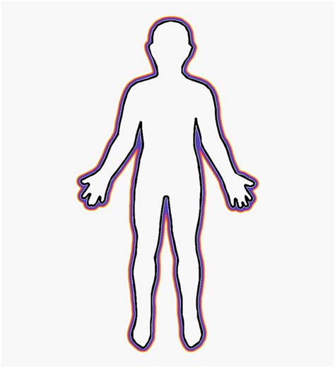 Human Body Clip Art Human Body Cartoon Outline Free Transparent