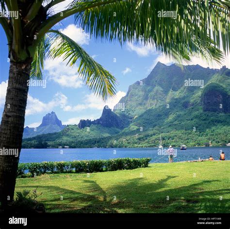 Captain Cooks Bay Moorea Tahiti French Polynesia Stock Photo Alamy