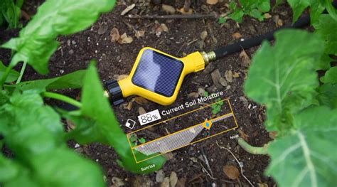 Edyn Garden Sensor For A Smart Connected Garden Homeli