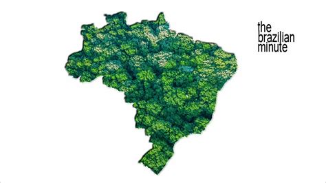 Brazils Geography And Biodiversity Connect Brazil