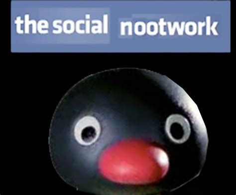21 Best Images About Noot Noot On Pinterest Texting A