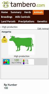 Beef Management Software Pictures