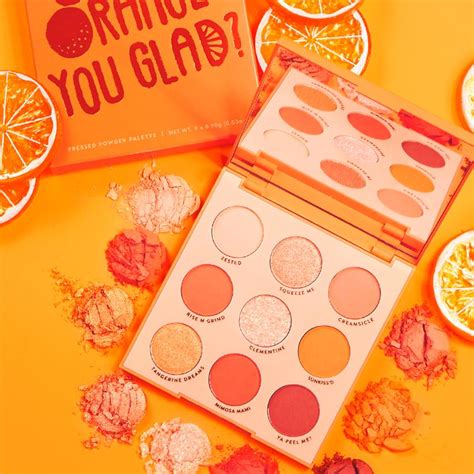Colourpop Cosmetics Orange You Glad Shadow Palette Blush Box