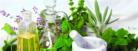 Knowing About Using The Botanical Extract Skin Care Products Blog