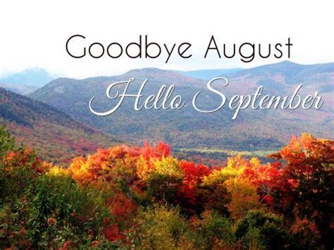 Forest Goodbye August Hello September Image Pictures Photos And