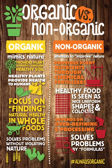 What is Organic Food? [Infographics] | Non organic, What are organic ...