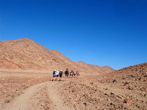Trek Through Egypts Sinai Desert Much Better Adventures
