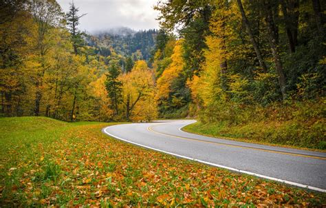 Wallpaper Road Autumn Forest Tennessee Tn Great Smoky Mountains