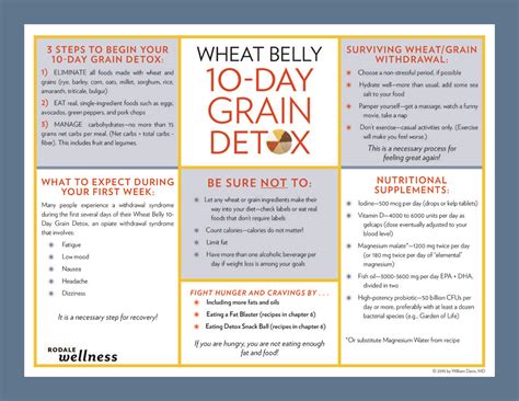 Wheat Belly Wheat Belly Diet Recipes Wheat Belly Diet Plan