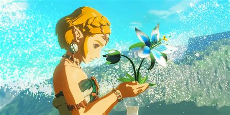 Zelda Botw And Totks Silent Princess Flower Has A Heartwarming Meaning