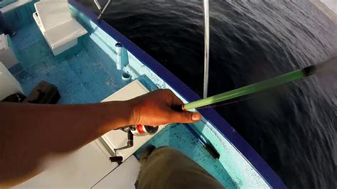 Pesca De Jurel Aleta Amarilla 2 Youtube