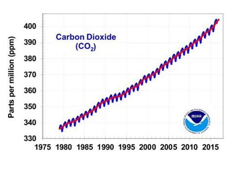 Carbon Dioxide Tallied Second Largest Rise On Record Last Year