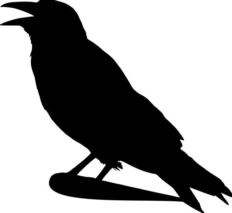 Flying Raven Silhouette Clip Art Viewing Gallery Clipart Best