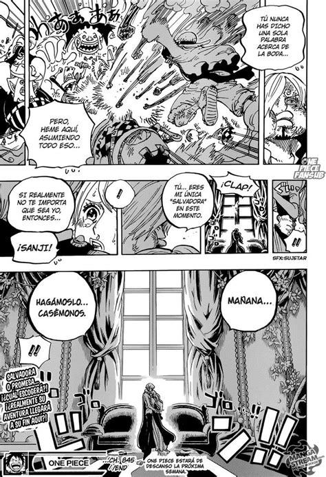 One Piece Capítulo 845 Página 2 Cargar Imágenes 10 Leer Manga En