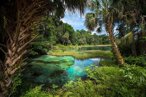 The Most Amazing Photos Of Florida Ever Captured Wow Amazing