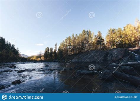 Forest River And Trees With Yellow Autumn Foliage Stock Photo Image