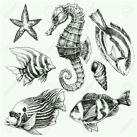 Pin By Hosana Cavalcanti On Marinhos Marine Life Art Sea Creatures