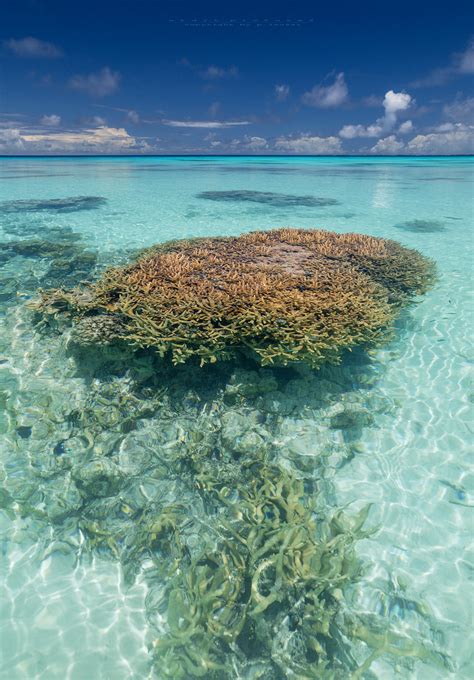 Fakarava Atoll French Polynesia 10 2015 Foto And Bild Australia