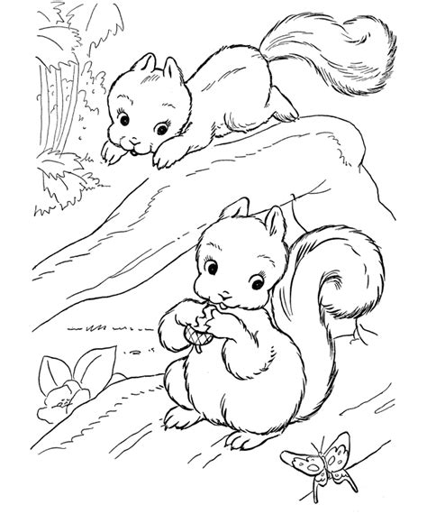 Squirrel Coloring Pages For Preschool Coloring Home