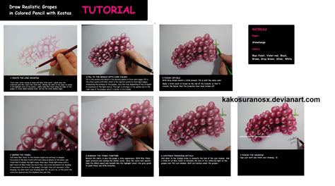 Colored Pencil Drawing Tutorial Realistic Grapes By
