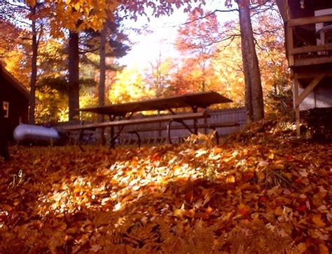 Maybe you would like to learn more about one of these? Powell Shores Lodge Munising Michigan Vacation Lodging ...