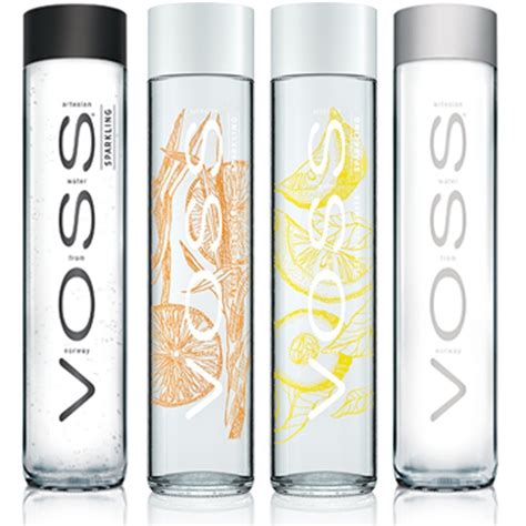 Voss Bottled Drinking Waters Ebay Home Furniture And Diy Flavored