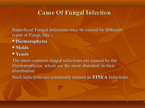 Pathophysiology Of Fungal Infection