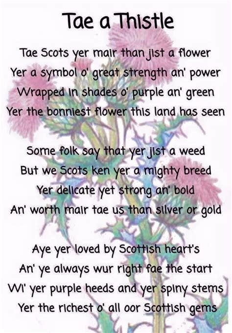 O flower of scotland, when will we see your like again, that fought and died for, your wee bit hill and glen, and stood against him (against who?), proud fittingly in the context of scottish football (or not, depending on your allegiance), the lyrics are a reference to the victory scored by robert the. 1669 best Scotland images on Pinterest | Scotland, Beautiful places and British isles