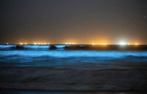 A Huge Red Tide Is Bringing A Spectacular Display Of ...
