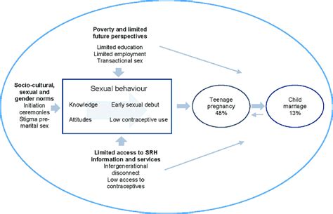 factors influencing high risk sexual behaviour leading to teenage download scientific diagram