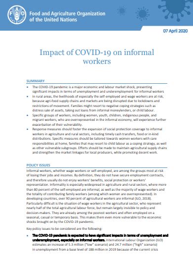 Impact Of Covid On Informal Workers Policy Support And Governance Food And Agriculture