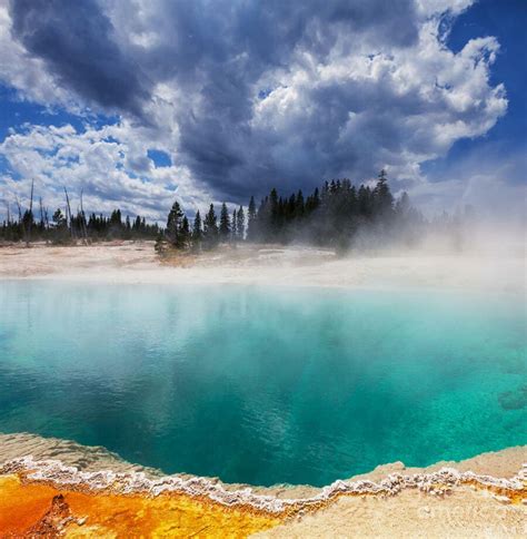 Yellowstone 2020 Reopening Plan Covid19 Phased Implementation