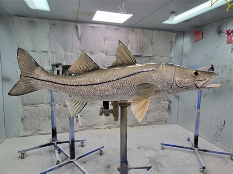 35 Snook Fish Mount Replica W5073