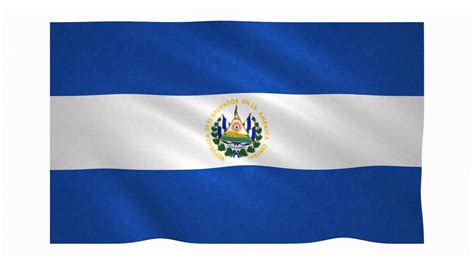 Flag Of El Salvador Waving On White Stock Motion Graphics Sbv 315030752
